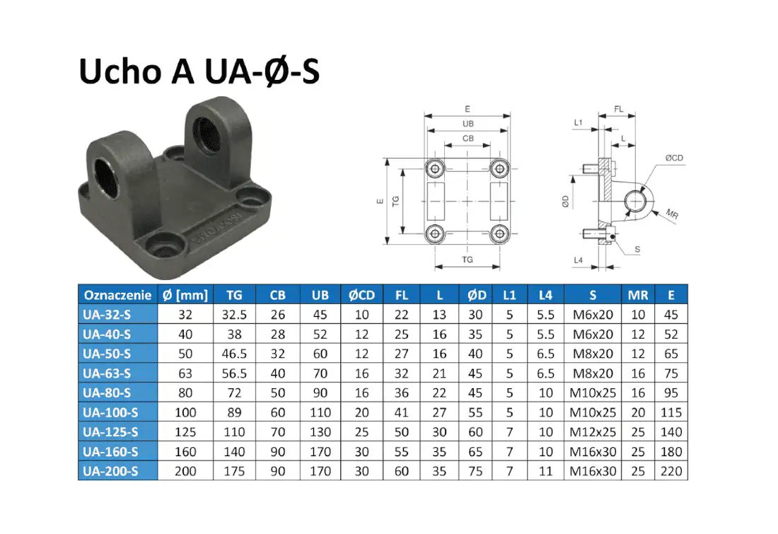 uchoa.webp